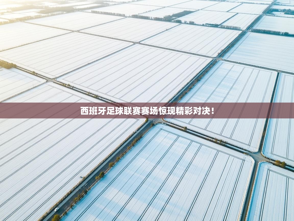 西班牙足球联赛赛场惊现精彩对决！  第1张