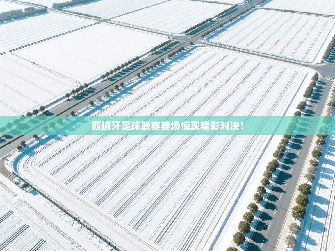 西班牙足球联赛赛场惊现精彩对决！  第2张