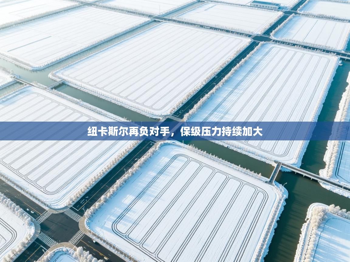 纽卡斯尔再负对手，保级压力持续加大  第2张