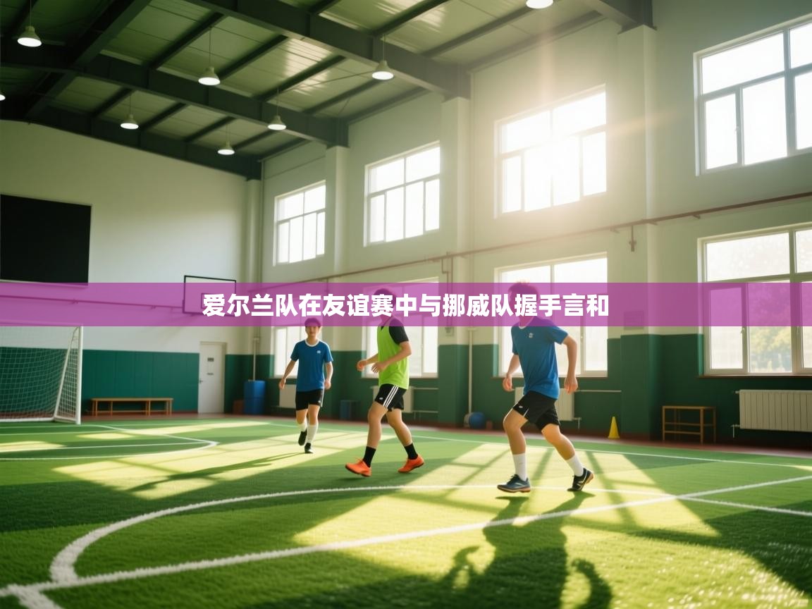 爱尔兰队在友谊赛中与挪威队握手言和