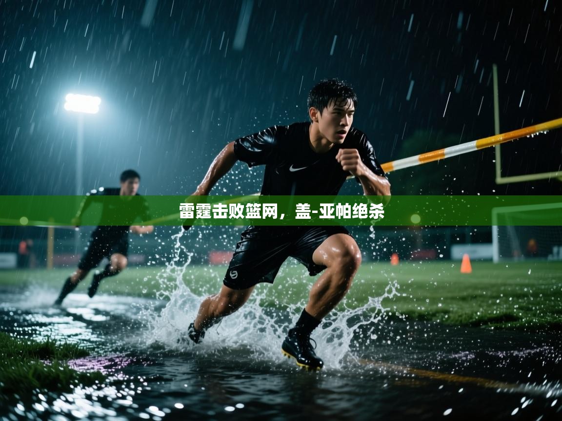 雷霆击败篮网，盖-亚帕绝杀  第1张