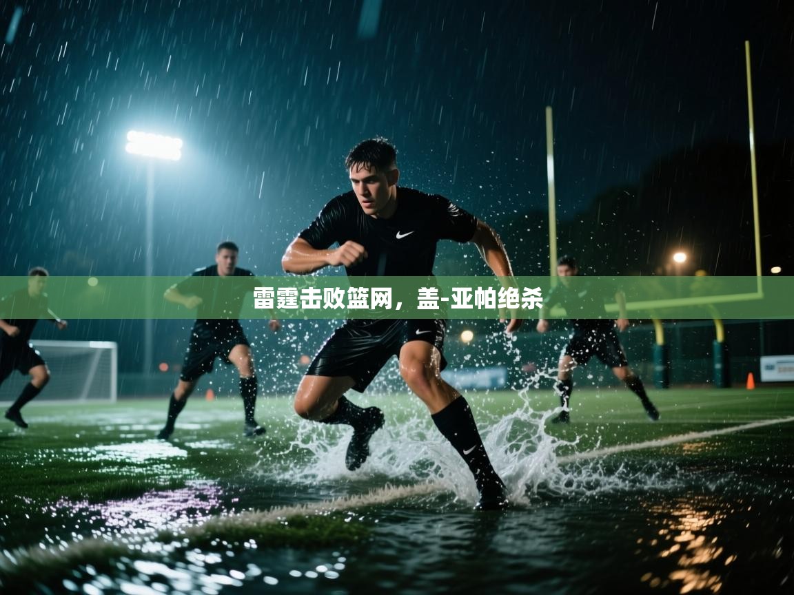 雷霆击败篮网，盖-亚帕绝杀  第2张