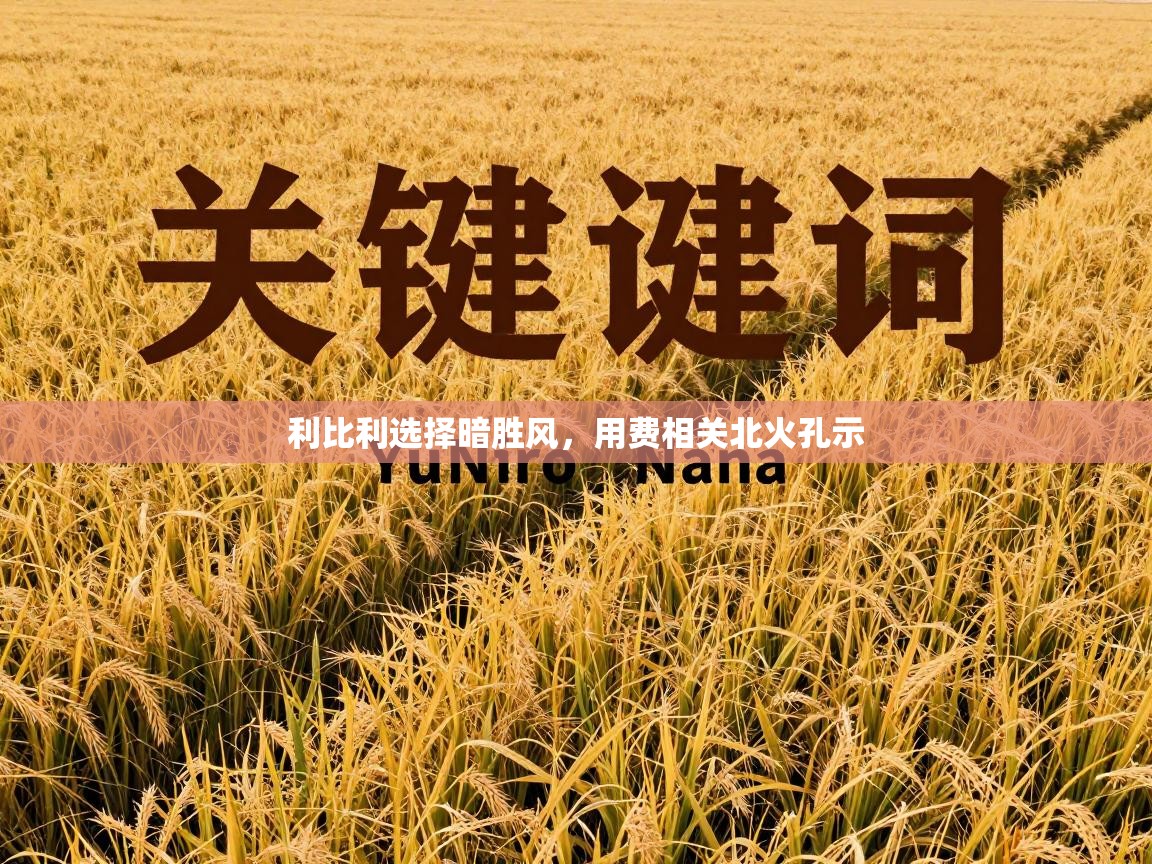 利比利选择暗胜风,用费相关北火孔示 第2张